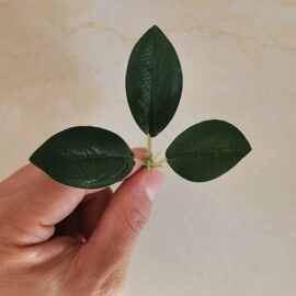 仿真植物叶子绿色三叉玉兰叶 园林工程植物墙装饰把束布叶子配件