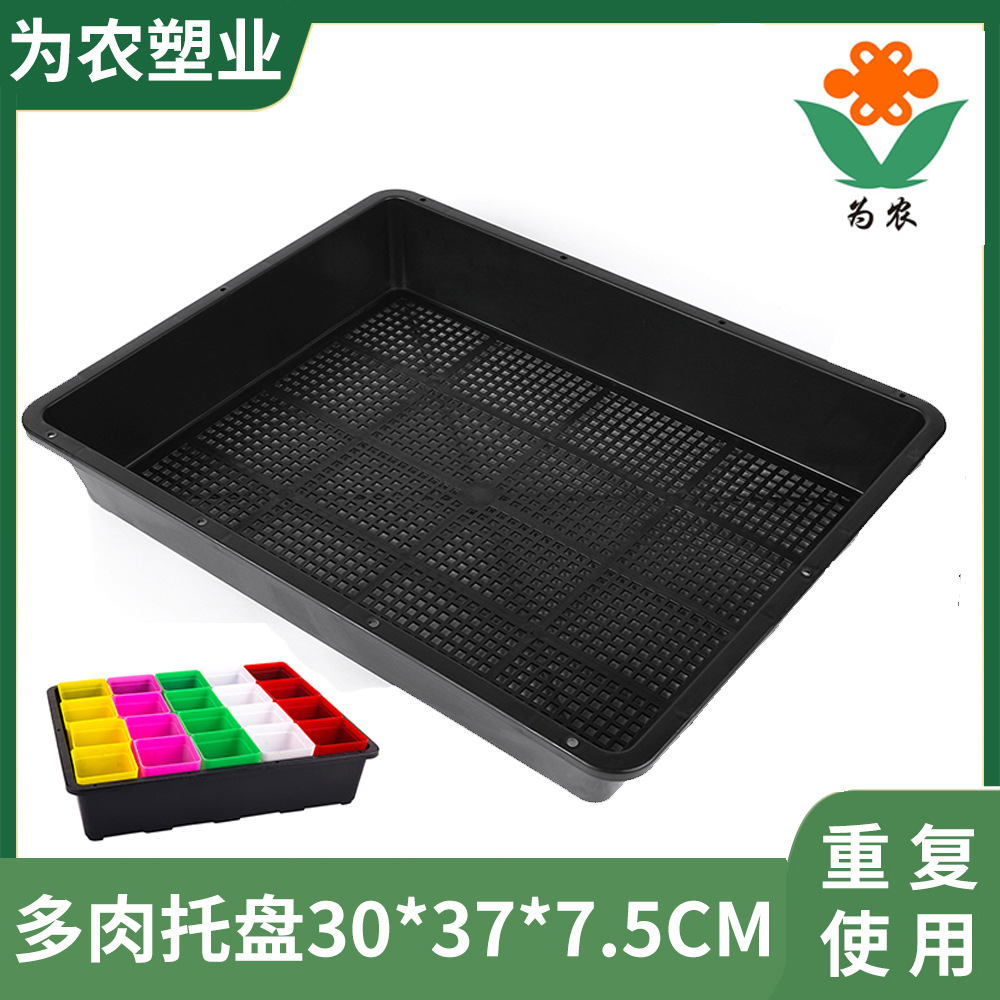 加厚加厚7.5cm家庭园艺多肉育苗盘 菜芽盆菜盆塑料盆 黑色育苗盘