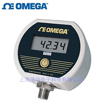 �������׼�����ѹ����DPG3500B-300G,DPG3500B-500G,DPG3600B-1KG