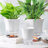 Automatic ceramics, creative table flowerpot, plant lamp