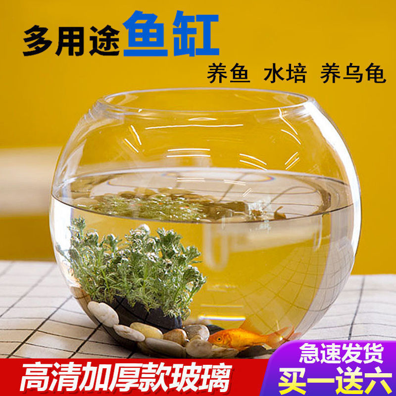 圆形鱼缸玻璃透明客厅家用圆球小型金鱼缸免换水懒人办公桌缸批发