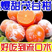 �V�����Qï�ȸ����r����ָ�10����ٽ���ʯ�Ҹ̱�֭ˮ���K�K����