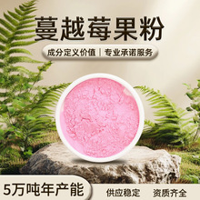 蔓越莓果粉 粉红色 易溶于水 蔓越莓果香 干燥避光储存 现货批发