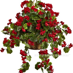 �羳���R�dtemu������滨���Ļ����ÿ��ٻ��Ҿ��b�֧�ִ��l
