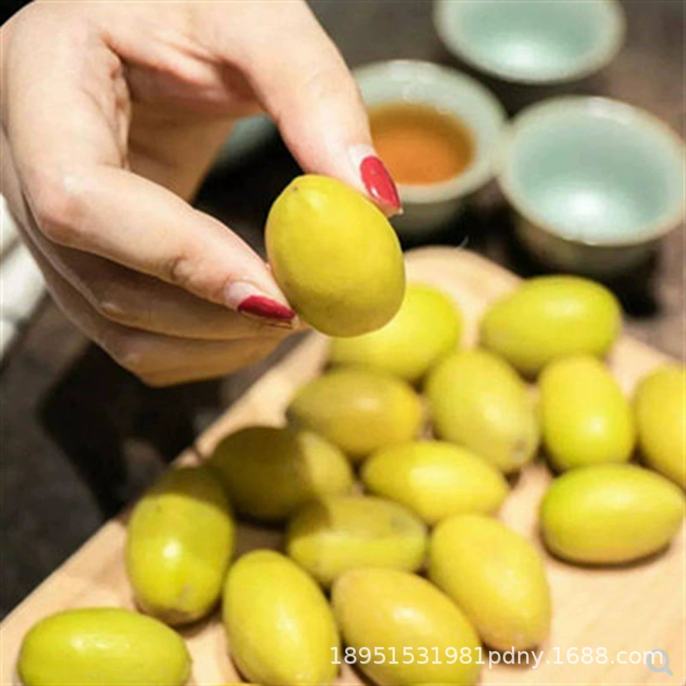 Фруктовый саженец аутентичная прививка хрустящей кожи сладкое семя оливковых фруктов саженец три твист оливковых фруктов саженец зеленых оливковых фруктов Саженец