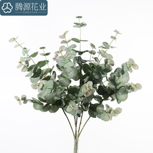 ����5��ë�{���X�ȼ����~ �Ҿ��b��滨�Gֲܛ�bͥԺ���^�쾰