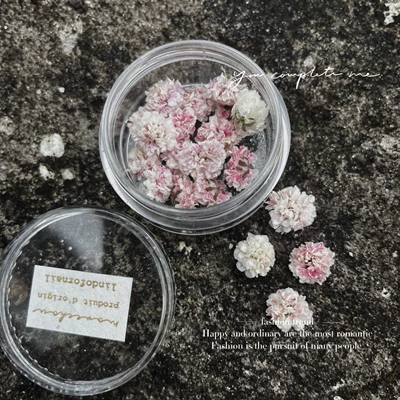 art dried flower jewelry diy | Dırnaq bəzəkləri - g-color-is-darker-than-pictured-please-do-not-purchase-if-this-is-a-concern-a-box-of-12