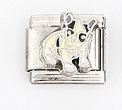 0015-5