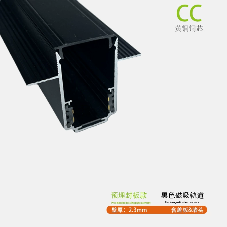 Wholesale of main lamp magnetic track strips embedded open-concealed concealed lifting guide strips