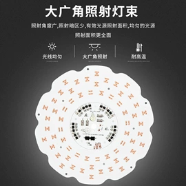 植物生长灯;投光灯;泛光灯