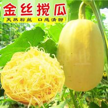 ��z�g�ϷN�ӽg�ϷN���S��ǹ���Ȼ�۽z�ϷN�����S�a�ļ��߲˷N��