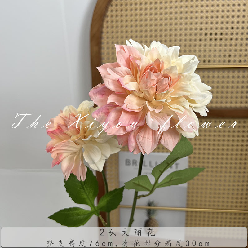 2頭の大麗花莫奈花園風喫茶店のセットです。|undefined