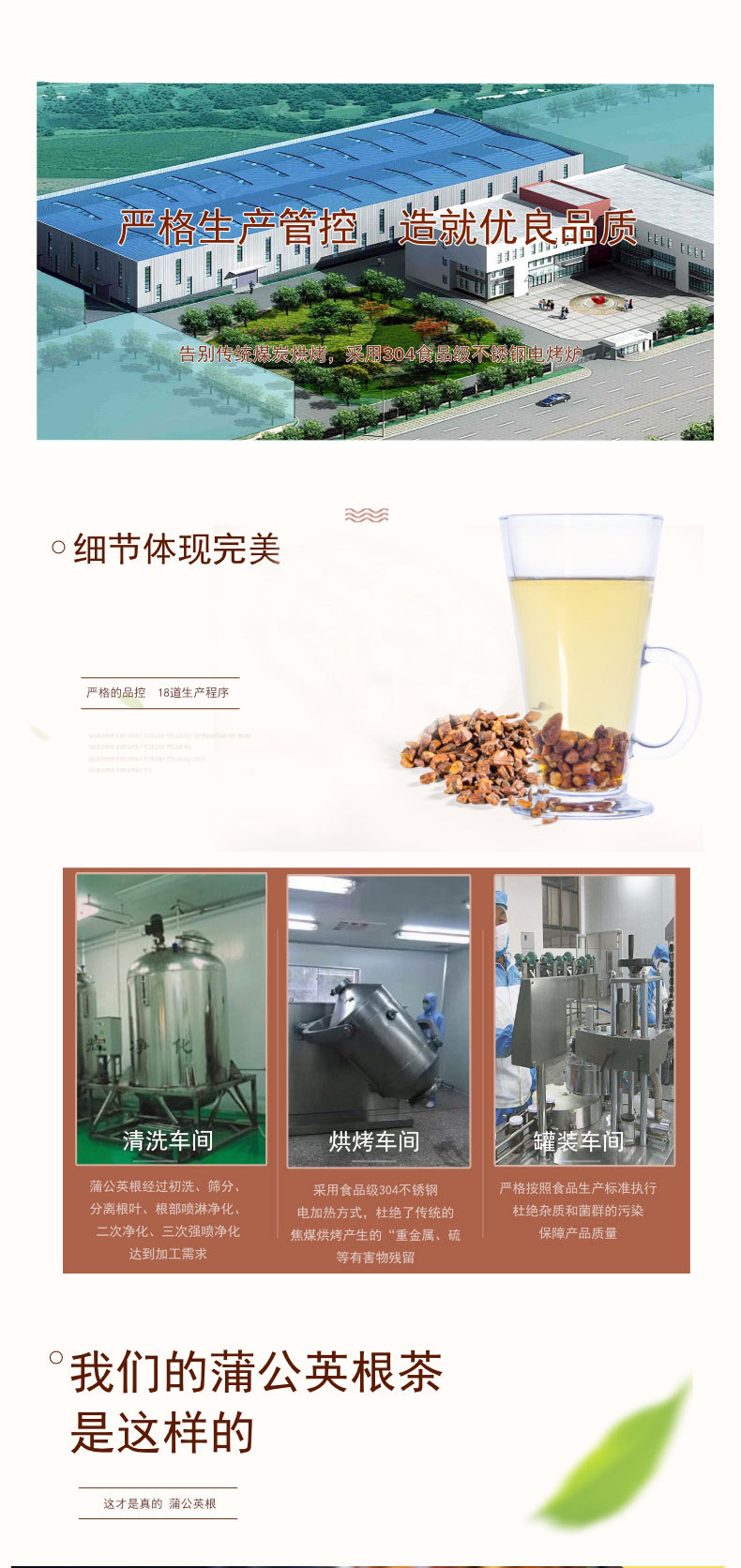 Dandelion Root Tea Pu Gong Ying 500g Roasted Herbal Tea from Changbai Mountain Jilin preparation