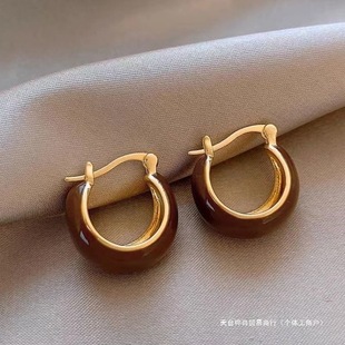 Authentic Yin Di Fang Autumn and Winter Maillard Retro Earrings for Women, New Popular Studs with Unique Design and High-End Feel