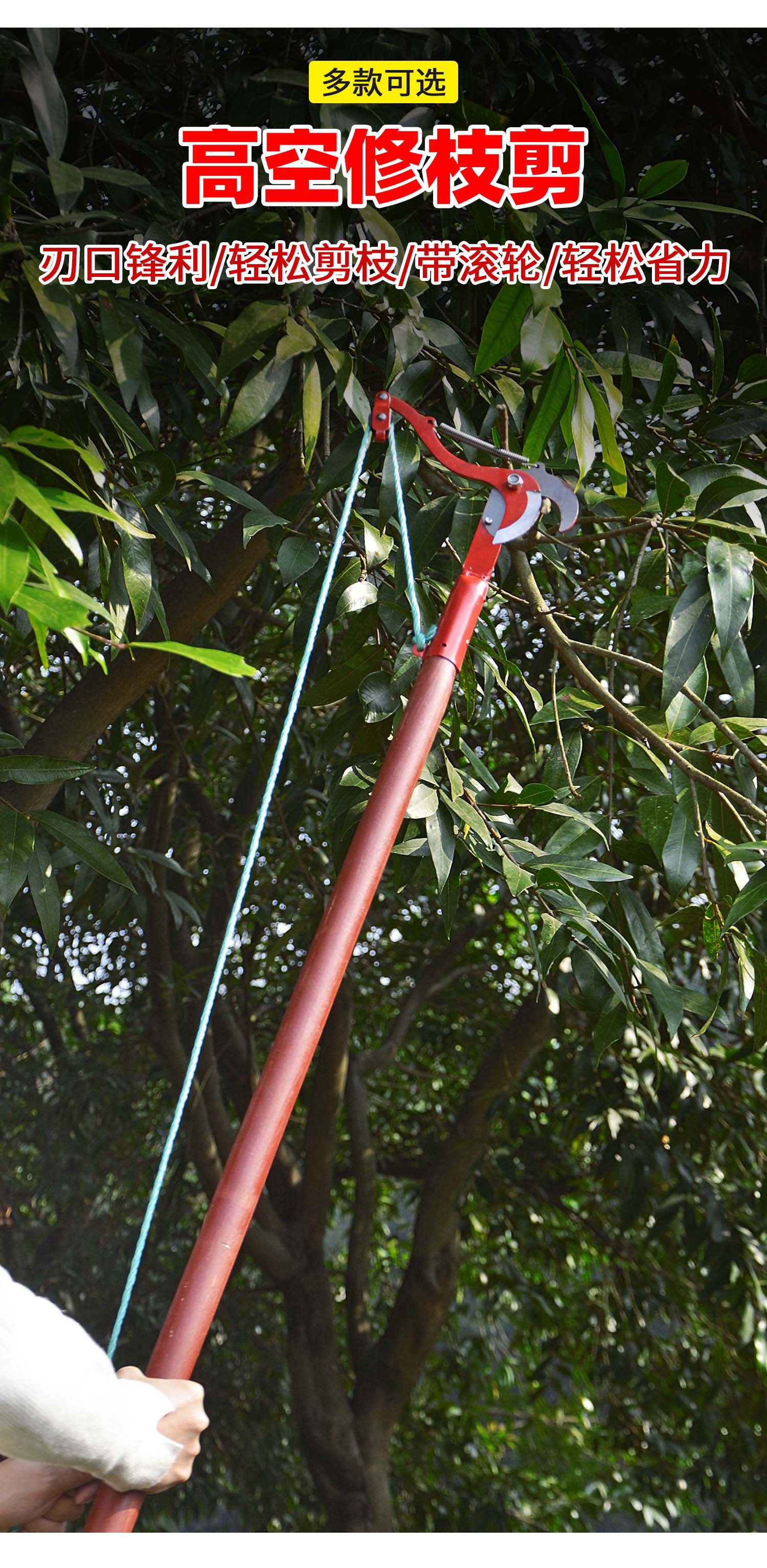 详情1