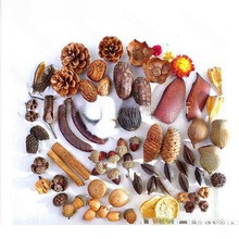 ɻb޻ɹ֦~ɏ׃@ֹhϰ