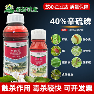 ͨ�_�rș40%������ʳ���x���x�߲˲����x���������������͚��x��