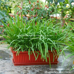 ~²˸~ϼtF辰²˸̨ˮB400w²˸