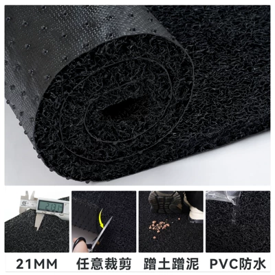 Avtomobil döşəmə paspasları, Door Carpet PVC Nail Bottom - black-extra-thick-encryption-21mm-6080cm