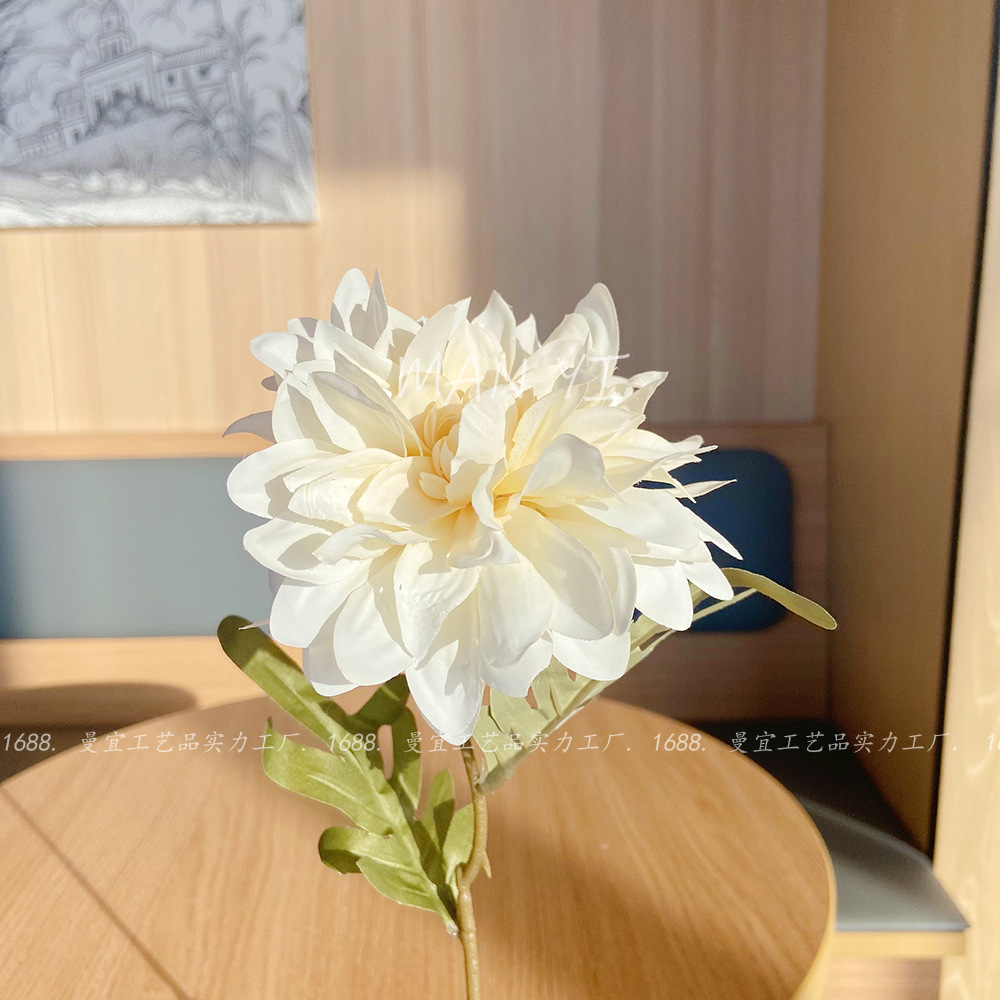 Princesa blanca Nelly Ju