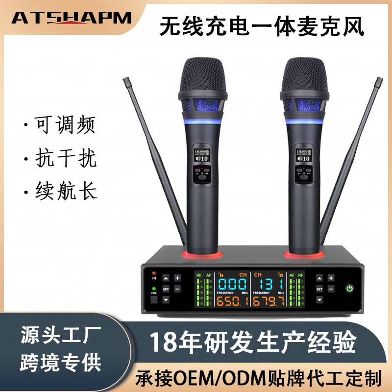 Professional Wireless Microphone Integrated Rechargeable Receiver Anti-Howling Performance Stage Home Outdoor Karaoke Microphone