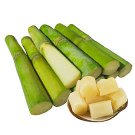 陶山甘蔗新鲜水果应当季甘蔗顺丰包邮产地直发青甘蔗一件代发