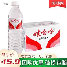 新货娃哈哈纯净水350ml/24/12瓶装饮用水矿泉水整箱包邮