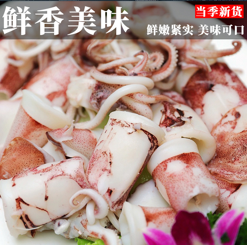 鲜冻笔管鱿鱼新鲜海捕鲜活小管鱿鱼笔管鱿鱼海鲜水产厂家现货批发-阿里巴巴