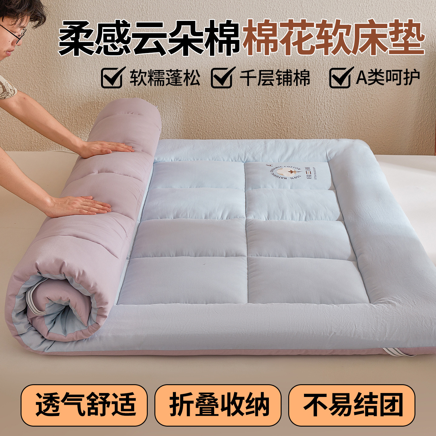 Class a Cotton Soft Mattress Household Tatami Mattress Single and Double Bottom Student Dormitory Thickeneded Mattress Wholesale