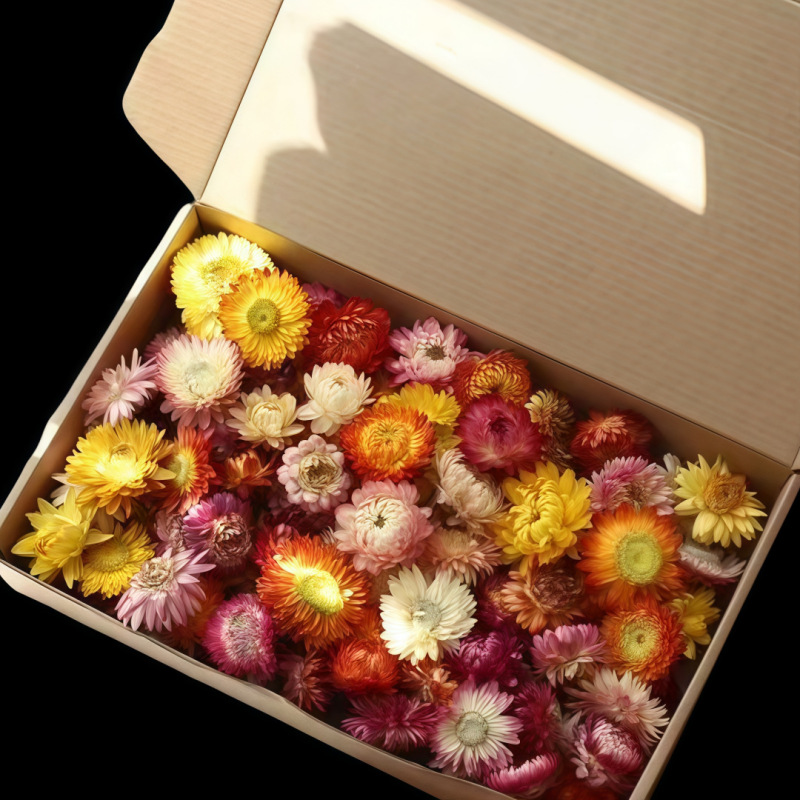 クロスボーダー専用、【菊の頭】ドライフラワーの麦わら菊の七色の菊diyの小さい菊のドライフラワーの卸売りは散発して代行します。|undefined