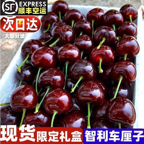 Imported Fresh Cherries from the Us, Large Sweet and Sour Cherries, Whole Box with Free Shipping, Suitable for Pregnant Women, Large Fruit Wholesale Imported Fresh Cherries from the Us, Large Sweet and Sour Cherries, Whole Box with Free Shipping, Suitable for Pregnant Women, Large Fruit Wholesale