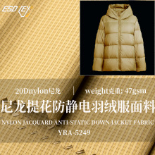 ESDTEX 20DʯīϩỨ޸ָm;÷oq