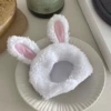 Rabbit, helmet
