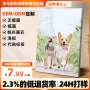 卧室定制实木客厅帆布画
