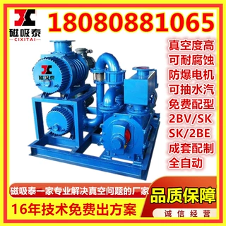 ZJPS150-3抽真空机组 罗茨水环真空泵机组 注塑模具真空抽气系统