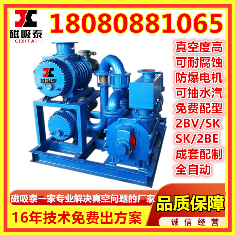罗茨真空机组真空压榨罗茨水环真空泵机组JZJ2S300-2.1真空机组