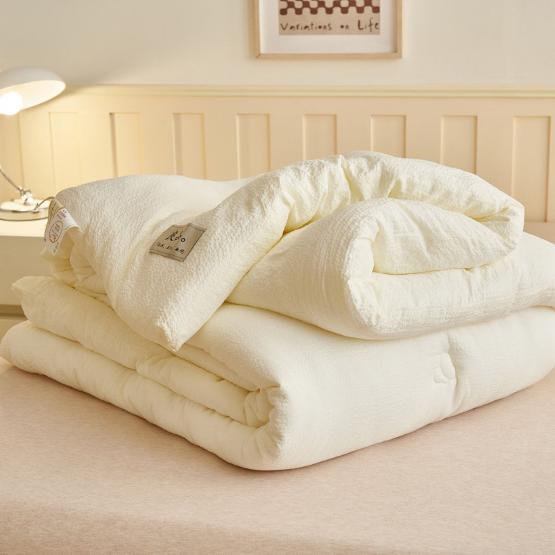 大豆纤维被子被芯冬被春秋学生被空调夏凉被四季通用源头跨境包邮