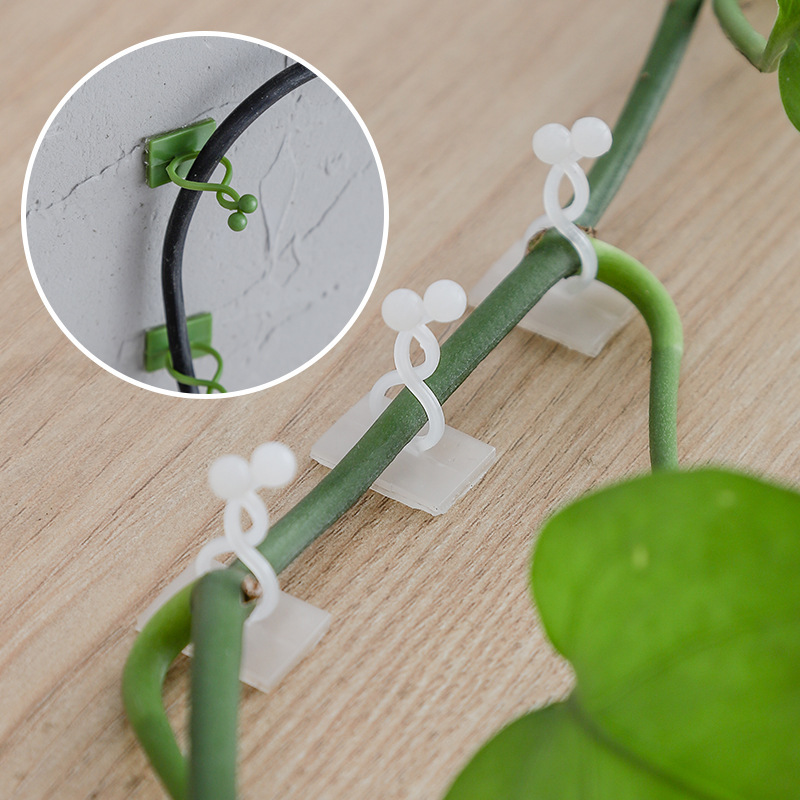 10個入りの緑羅固定器家庭用無痕無釘藤蔓緑植が壁に登って自粘式フック理線器を登る|undefined