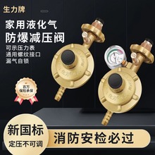 新国标家用0.6双咀防爆煤气灶热水器调压器液化石油气减压阀