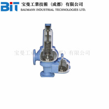 ����ɭ�������Anderson Greenwood 121Fϵ�Љ��������й���y�T