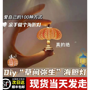 Sea Urchin Retro Night Light Children's Desktop Small Table Lamp Summer Metal Retro Style Girls' Room Decoration Ornaments