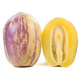 块茎类;苹果;其他水果