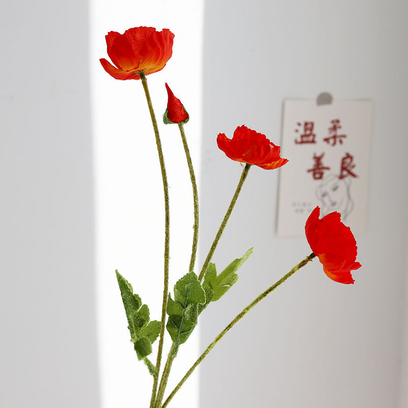 일몰 레드