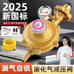 卸売新国家標準 1.2 家庭用低圧バルブ安全弁液化ガス減圧弁自己閉鎖弁耐圧防爆セルフロック
