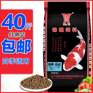 �\�����~�������40���ϸ��͸ߵ��ײ���ˮ��ɫС���^�p�~ͨ���~�Z