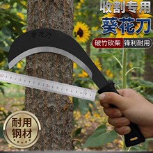 �r���Ϳ������i��ո�����_·��~�ֹ�砵������ò񵶸��砵�