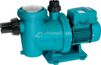 批发供应_ESPA泳池设备_亚士霸水处理设备_全新泳池循环过滤水泵