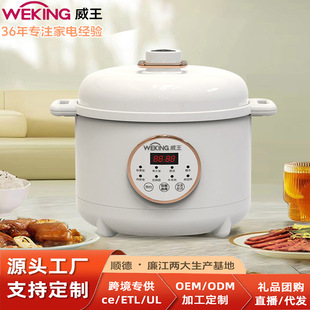 Wei Wang Electric Pressure Cooker Multifunctional Household 5L Large Capacity Non-Stick Cooker Rice Cooker Gift Wholesale Customization