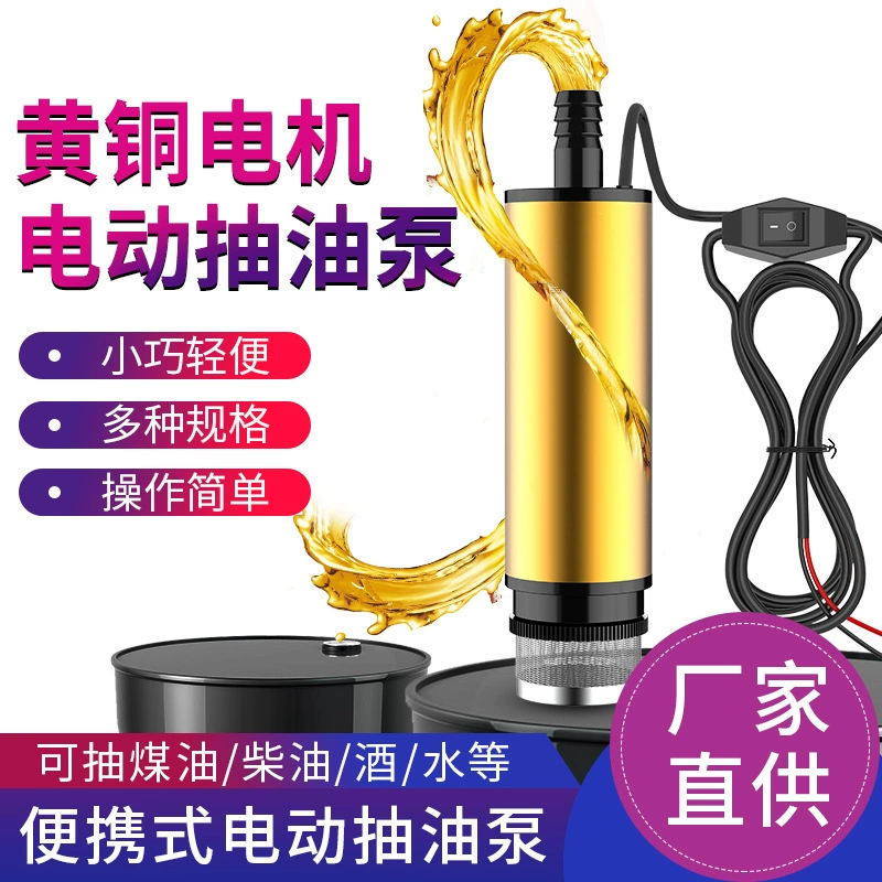 Электрический насос 12 v24 вольт универсальный насос насос дизельного масла артефакт небольшой газовый пистолет самовсасывающий насос