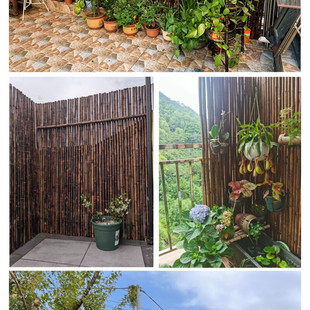 Guardrail Fence Outdoor Carbonized Anti-Corrosion Bamboo Fence Japanese-Style Fence Bamboo Curtain Outdoor Garden Yard Wall Partition Grille